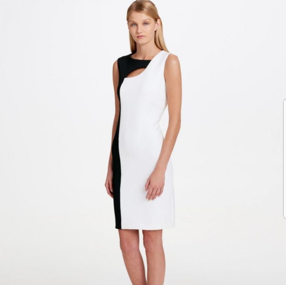 Calvin Klein Color Block Dress